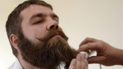 Barba