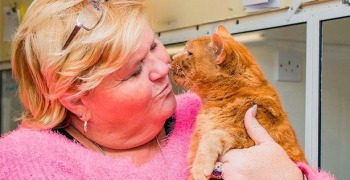 Garfield il gatto e Julie Calder