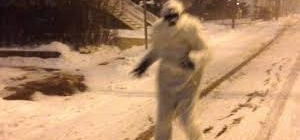 @BostonYeti2015